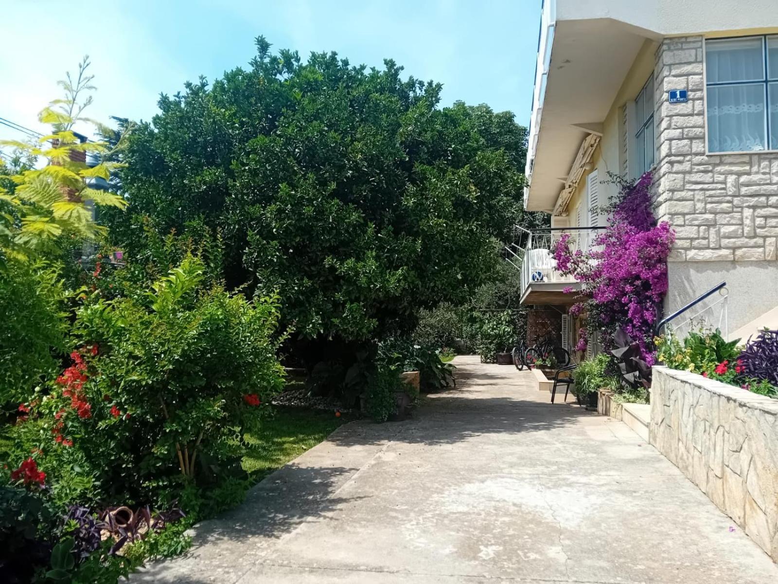 Apartments Angie Zára Kültér fotó